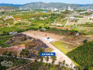 đất đẹp nam ban - lâm hà, giá chỉ 499 triệu! view đồi thông ôm quanh