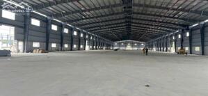 Cho thuê xưởng 9800m2 KCN Phú Mỹ 1, Phú Mỹ, BRVT