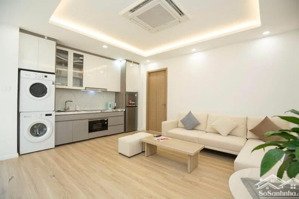 cho thuê căn hộ cao cấp view hồ võ thị sáu 35m2 thang máy, ô tô đỗ cửa, pccc đạt chuẩn giá 7,6tr