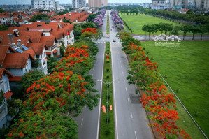 bán gấp 1căn bt đơn lập giá rẻ, mặt đường lớn việt hưng, dt 238m2 giá: 50 tỷ ở hoặc kd đều được