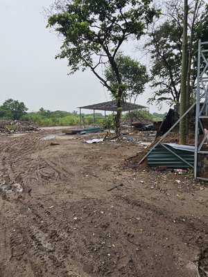cho thuê 500m2, 3000m2 diện tích nhà xưởng tại mặt đường dương đình nghệ, cầu giấy, lh 