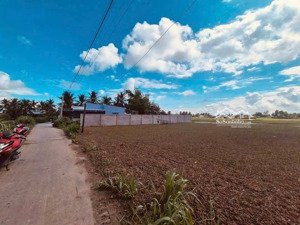 360 triệu, 150m2, 5x30 full thổ bán đất tại thạnh trị, gò công tây, tiền giang (đồng tháp)