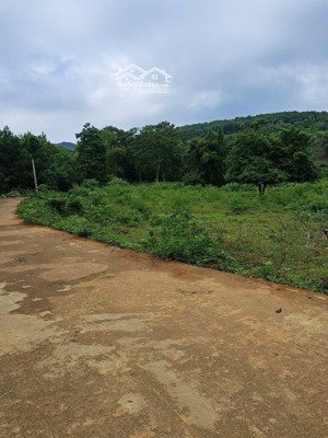 chính chủ bán siêu phẩm nghỉ dưỡng lô góc dt 2200m2 có 260m2 thổ cư tại đông xuân, quốc oai, hà nội