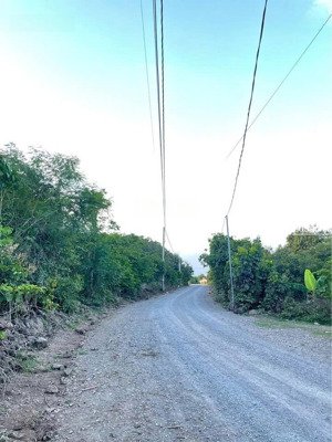 đất vườn có sẵn thổ cư hiếm hoi tọa lạc tại minh thạnh_tphcm.
