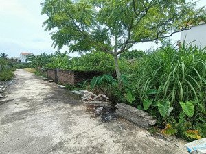 bán đất tại đắc sở, hoài đức, hà nội, giá siêu hời 34 triệu, sổ đỏ chính chủ, 63 m2, đường ô tô