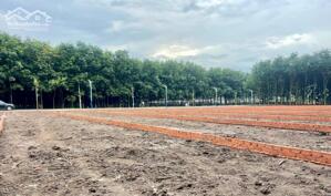 Cần bán 253m2 ĐẤT chính chủ Chơn Thành, Bình Phước - Giá 295tr