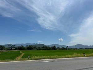 cần bán gấp 1,2ha đất lúa, mặt tiền quốc lộ 27c diên hòa, diên khánh, khánh hòa