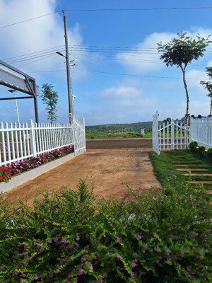 sở hữu ngay lô góc 2 mặt tiền tại di linh, giá chỉ từ 5,5 triệu/ m2