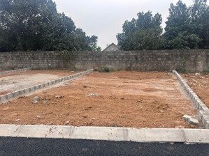 cực gấp chủ cần tiền cắt lỗ chỉ hơn 300triệu diện tích: 60m² full thổ cư pháp lý sạch