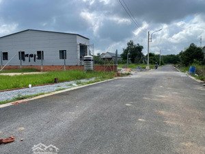 bán đất giá 550 triệu, 135.7m2 tại đt 744, định thành, dầu tiếng, bình dương