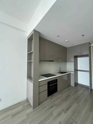 cho thuê căn 1pn+ thiết kế 2pn1wc giá 8tr tại masteri centre point quận 9.