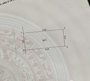 siêu hiếm đất phân lô linh đàm - diện tích - 60 mét - mặt tiền 5 mét - vỉa hè - kinh doanh