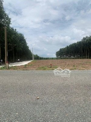 bán đất chơn thành đồng nai cơ hội đầu tư và an cư mặt tiền 12 mét