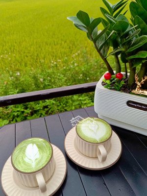 sở hữu ngay lô đất vàng đối diện cánh đồng: ngôi nhà thứ hai yên bình, tránh xa ồn ào.
