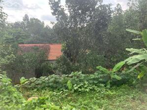 Bán đất Tiên Phương, Chương Mỹ, Hà nội, cách QL6 - 600m, cách thị trấn chúc sơn 1,5 km. Diện tích 45m²