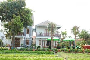 villa làng rau trà quế di sản văn hoá phi vật thể, diện tích khủng 924m2 full thổ cư siêu hiếm