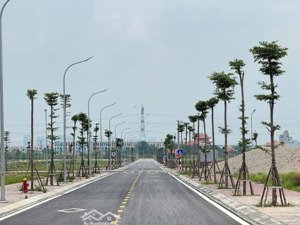 hot - hàng hiếm tđc vĩnh khúc (nghĩa trụ mới)