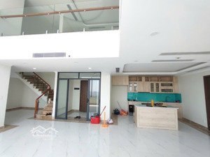 siêu phẩm duplex 320m2 topaz elite quận 8, view panorama ngắm toàn thành phố 4pn + 4wc