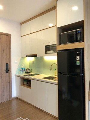 bán cc đẹp ở chung cư sky oasis, 1,85 tỷ, 30m2, 1pn, 1wc, pháp lý đầy đủ