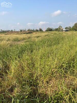 Cần bán đất An thới đông, doi lầu, giá rẽ