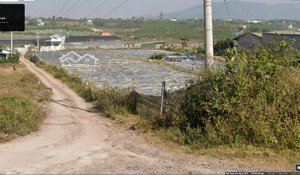 cho thuê dài hạn 5 - 10 năm gần 1 hecta đất có thổ cư, mặt tiền đường nhựa dt 725 lên đà lạt