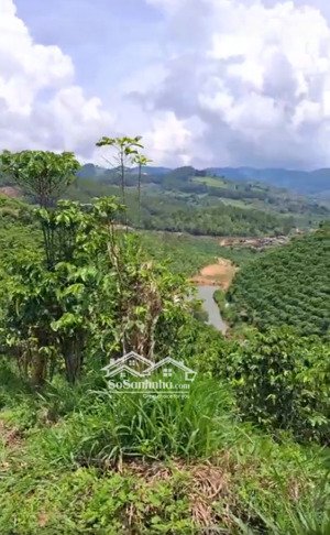 đất cà phê sổ đầy đủ, sẵn nước tưới - 1.1 ha tại rteng, phú sơn, giá tốt!