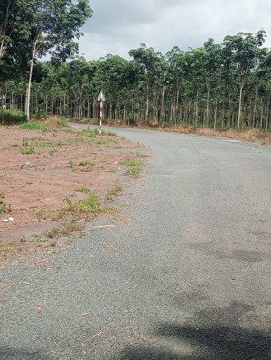 bán đất ngay khu đô thị amira thị xã chơn thành