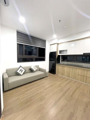 cho thuê cc mini 1pn, 1khach 40m2, 5,9 triệu tại doãn kế thiện, cầu giấy, hn