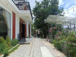 chính chủ cần bán đất tặng biệt thự đường tô hiến thành. dt 1269m2, giá 30 tỷ.