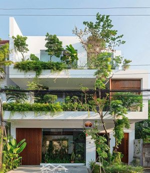 chỉ 135 triệu/m2 sở hữu góc 2mt ngay quốc hương, thảo điền, quận 2 - dt 20x25 cn 520m2 - siêu rẻ