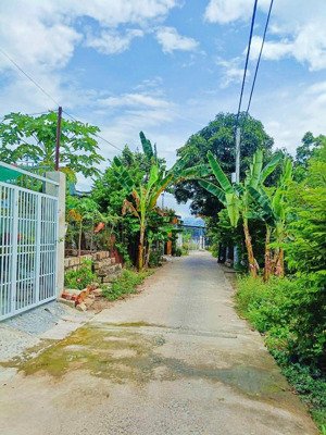 đất dân sát mai thị dõng, gần đường nguyễn khuyến, cách biển hòn chồng: 3km giá: 1 tỷ 350 triệu