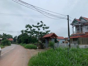 bán 360m2 phượng mao thanh thủy - phú thọ giá siêu rẻ chỉ 4,5 tỷ