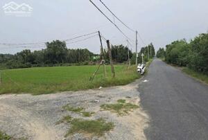 Bán 2000m2 đất lúa mặt tiền Tân Bửu - Thanh Phú, cách Eco Park chưa tới 1km