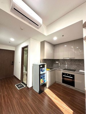 cho thuê căn hộ cao cấp bậc nhất của vin bên phân khu hawaii masterise vinhome