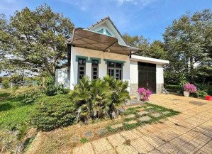 bán đất có nhà cấp 4 và vườn cây ăn quả ngay long nguyên, bàu bàng. giá 2,1tỷ, 1008m2 sổ hồng riêng