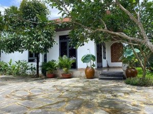 bán nhà cấp 4 đẹp có vườn trái cây ăn quả. giá 2ty1 lô 398m2, sổ hồng riêng, cách bv đa khoa 9 phút