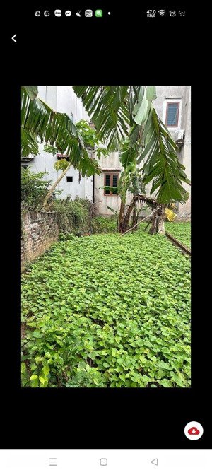 bán đất dương đức hiền gia lâm gần chợ keo, gần hvta dt 60m2 chỉ nhỉnh 3 tỷ