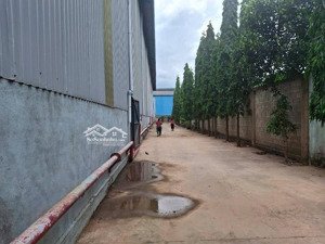 kho xưởng ngay cửa khẩu mộc bài, tây ninh, 18000m2, giá 150 triệu/tháng