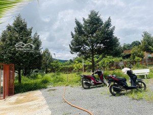 bán nhà vườn nghỉ dưỡng gần quốc lộ 27 - vị trí đẹp, giá tốt