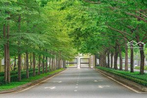 8x tỷ - bán bt tại sunshine city - 214m2, view đẹp, đông ngạc, bắc từ liêm, hn