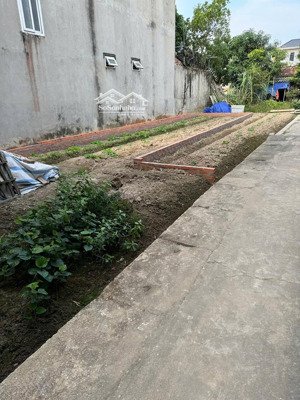 80m2 full thổ cư yên nhân, tiền phong, mê linh giá chỉ 38tr/m2