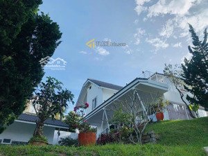 bán biệt thự đẹp, 180 tỷ, 2278 m2 (1442m2 thổ cư), hoàng hoa thám, p 10, đà lạt, mặt tiền 50m