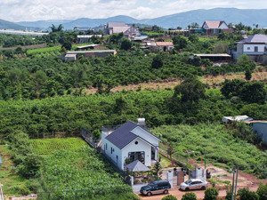 bỏ phố về quê trồng rau, căn nhà nghỉ dưỡng ven đà lạt full nội thất