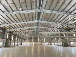 Cho Thuê Nhà Xưởng 10000m2 Phục Vụ Cho Nghành May Mặc Tại Long An
