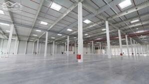 CHO THUÊ XƯỞNG 6000M2, KV 10.000M2 KCN HẢI SƠN, ĐỨC HOÀ - GIÁ TỐT