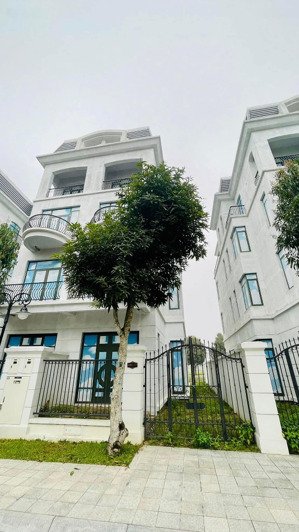 song lập mẫu đơn giá chỉ 11.xx tỷ vinhome thanh hoá