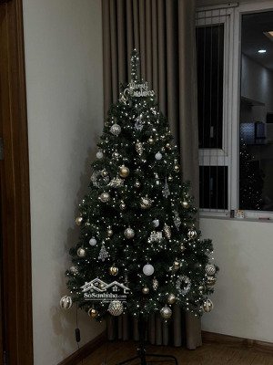 cho thuê nhà riêng tại hà đông