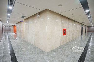 cho thuê văn phòng vinaconex tower 459c bạch mai, 155m2, giá 250 nghìn/m2. miễn phí dịch vụ 6 tháng