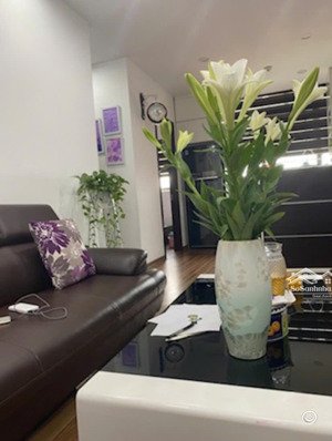 bán căn hộ b11 nam trung yên 51m2 - 2 ngủ 1vs