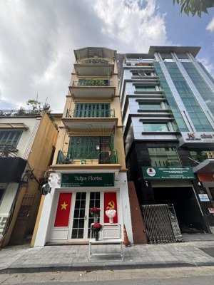 (chính chủ) bán mặt phố quốc toản, diện tích 80m2 5 tầng, mặt tiền 4,2m, giá 56 tỷ